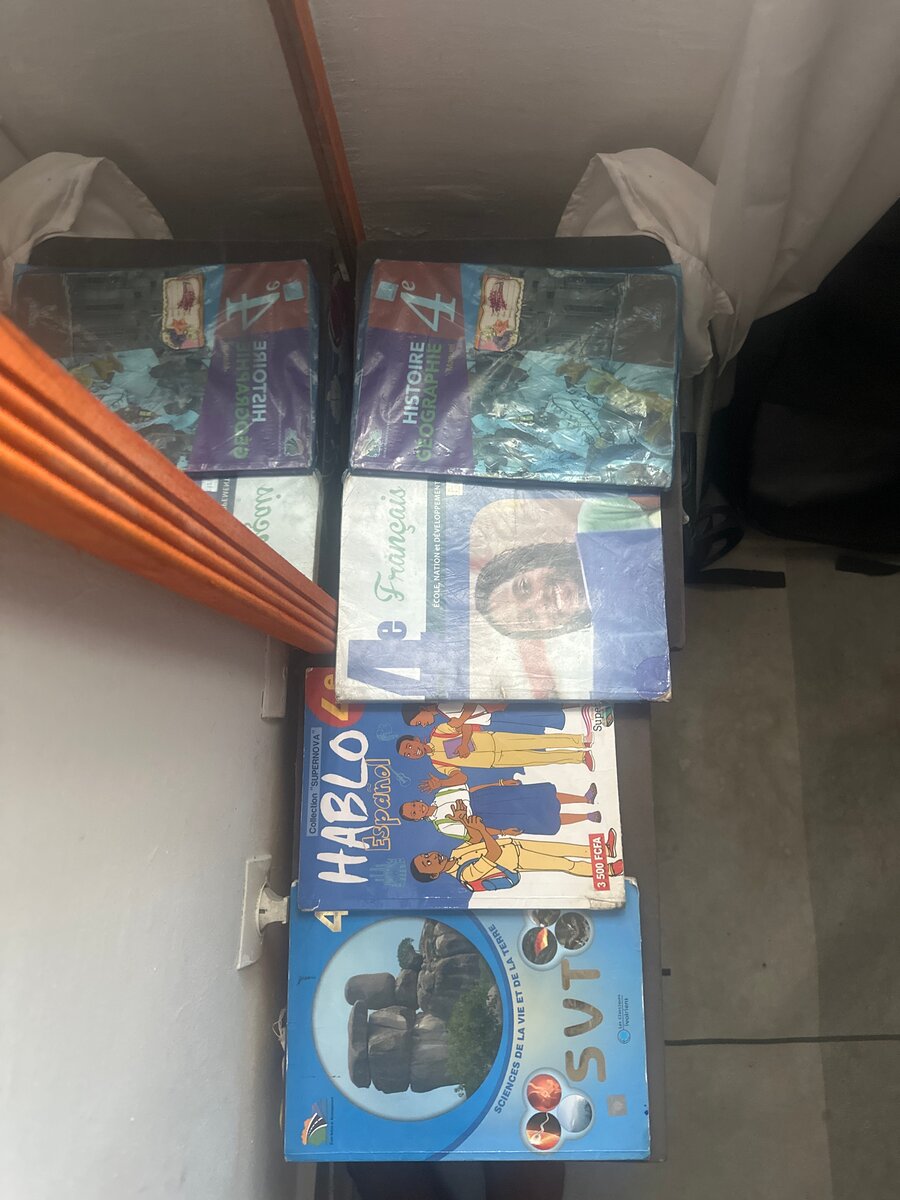 Manuels scolaires divers pour collège