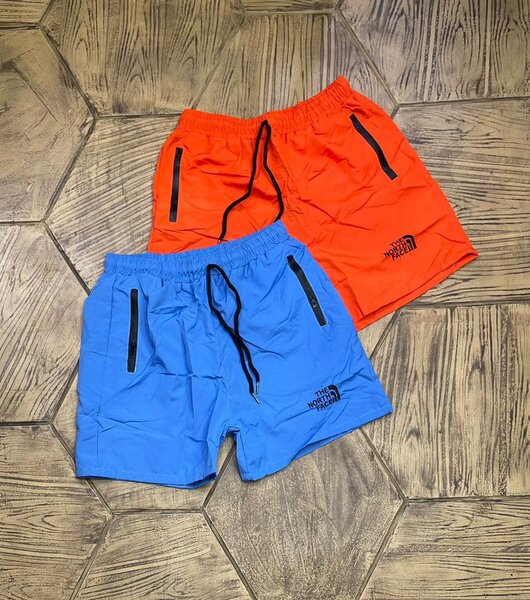 summer shorts the north face