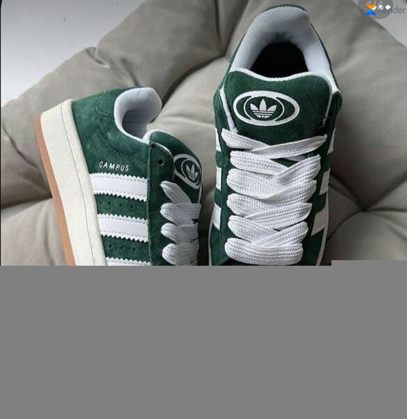 Basket Adidas Campus Vertes