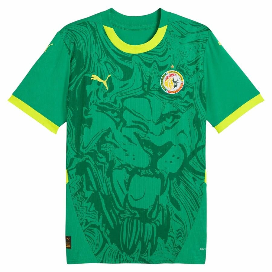 Maillot de football Sénégal