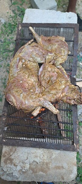 Viande fraîche de cabri