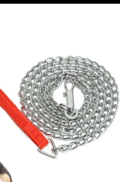 Laisse chaîne métallique pour chiens