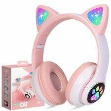 Cat Ear headphones