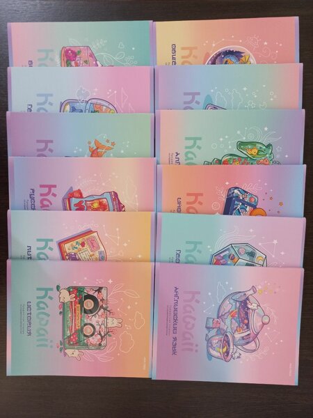 Набор предметных тетрадей (48 листов) 12 шт