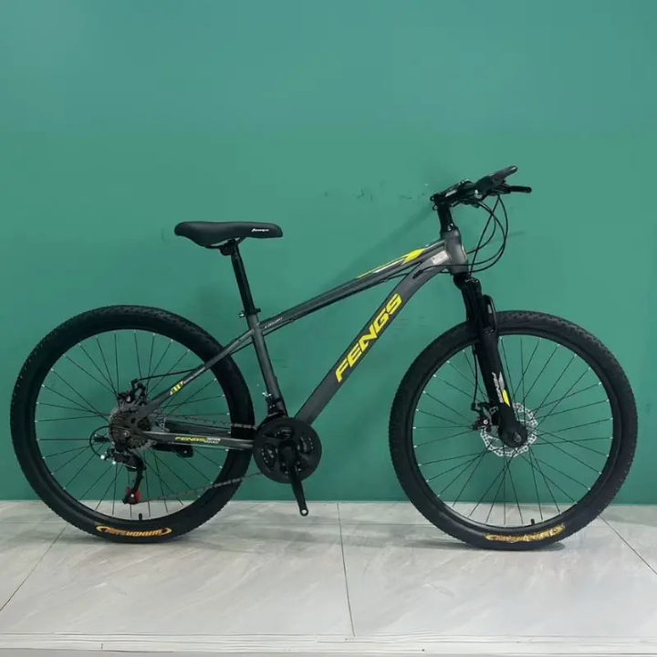 Vélo de Montagne Tout-Terrain