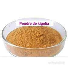 Poudre de Kigélia - 50 g