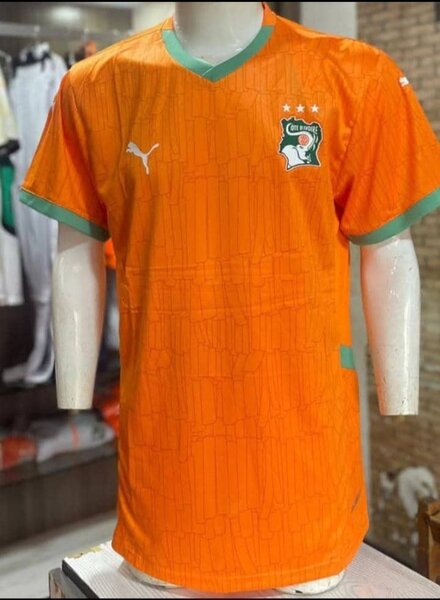 Maillot Côte d'Ivoire Puma