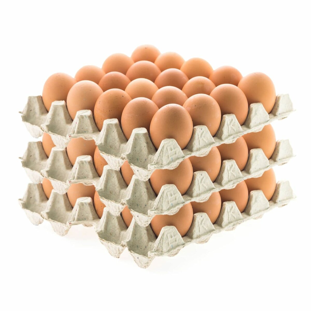 Nutritious Eggs