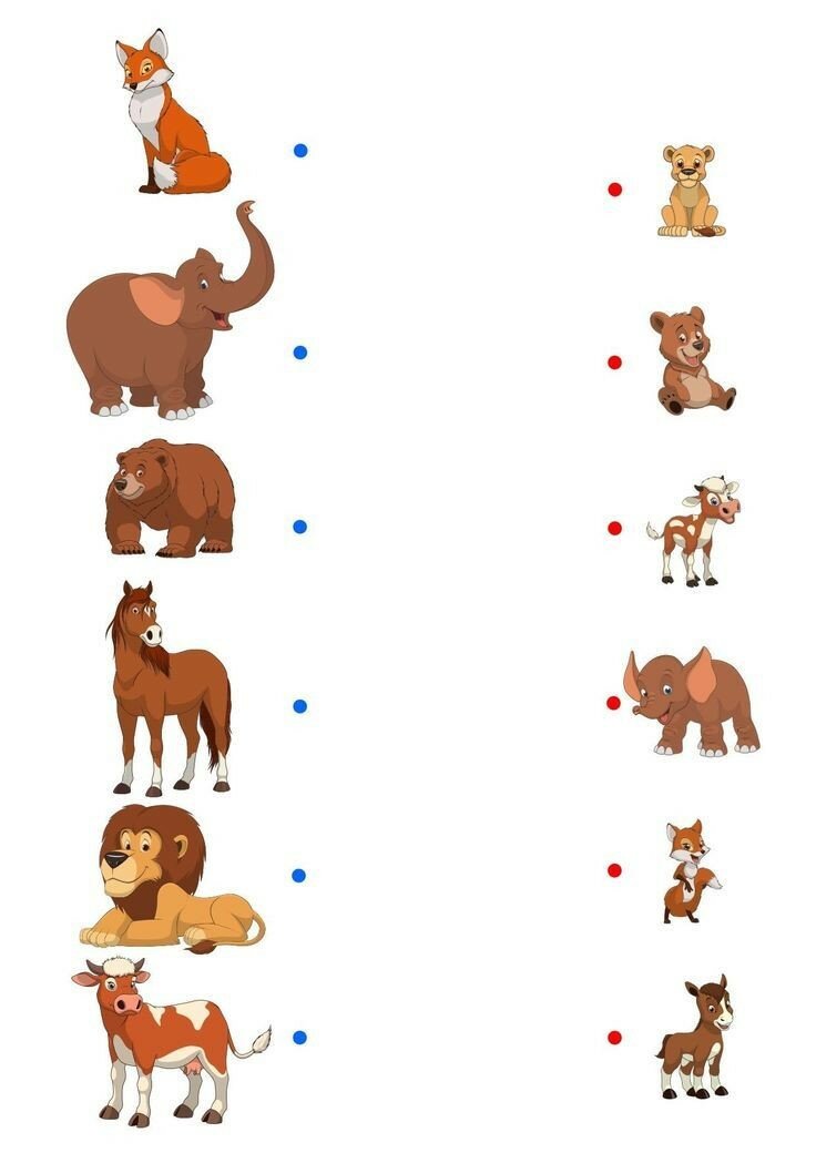 10+Электрондук китептер. +21кунго ППкурсу