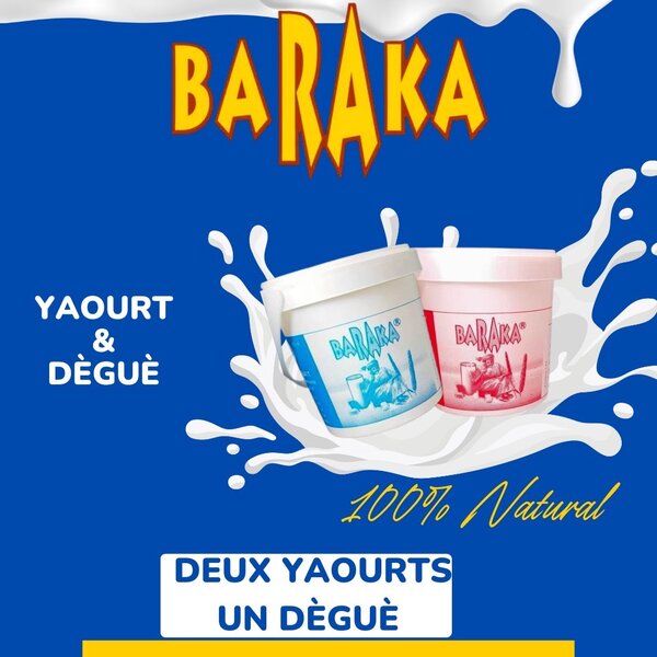 Combo 2 Yaourt + 1 Degue Baraka