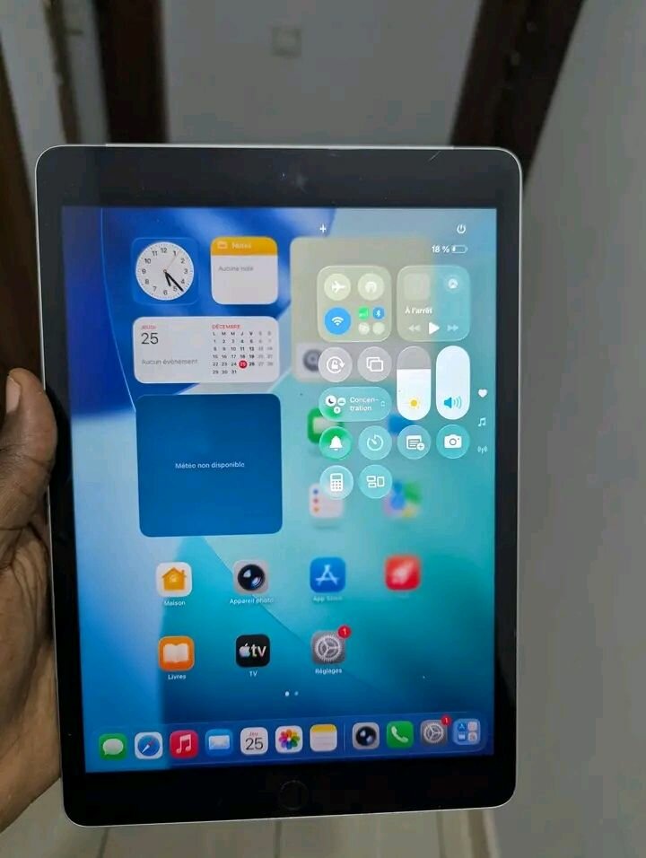 iPad 9.7 pouces WiFi Gris