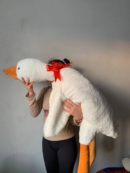 Плюшевый гусь обнимусь