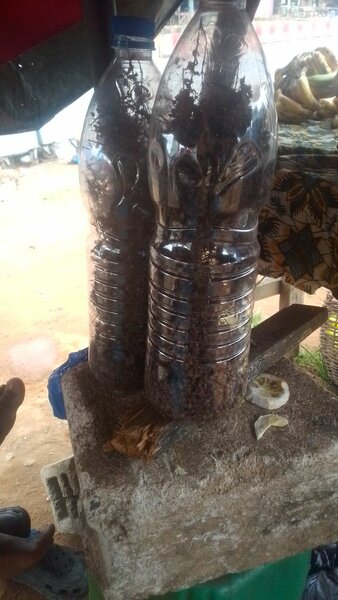 Vin rouge de palme authentique