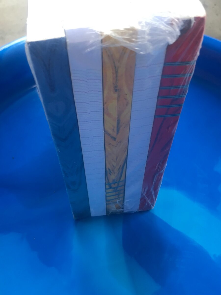 Cahier 300 pages (lot de 5)