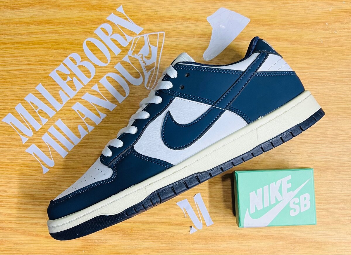Nike sb first class