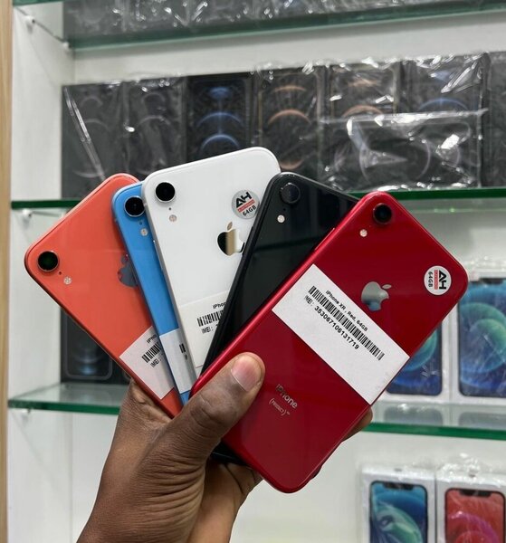 iPhone XR Multicolore 64GB