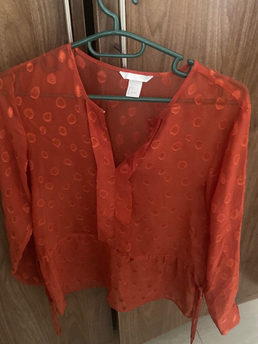Blouse- Rusty orange