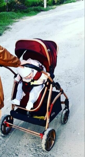 Johnson beybi Турецкий коласка