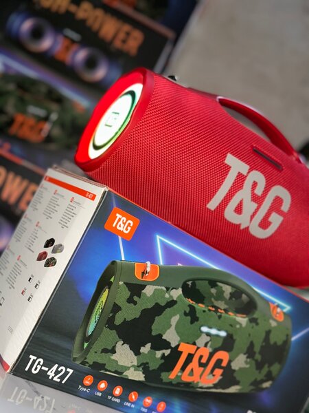 Haut-Parleur Portable T&G