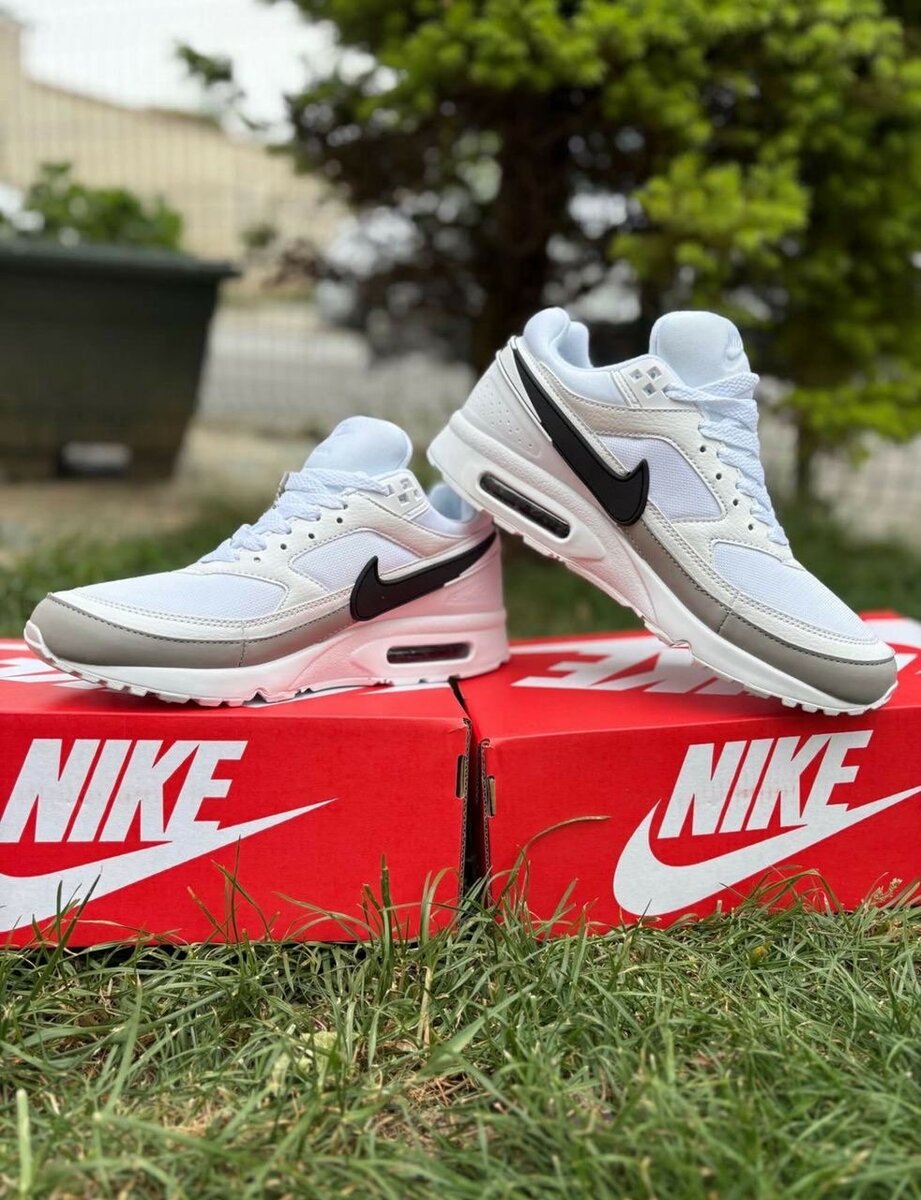 Chaussures Nike Air Max Homme