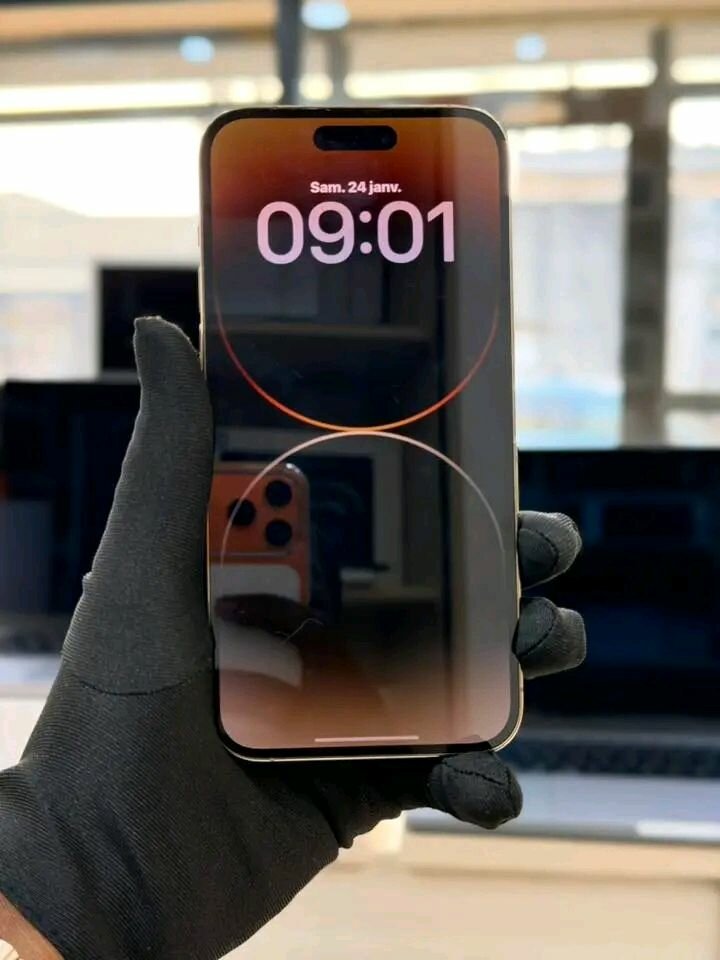 Apple iPhone Pro Max