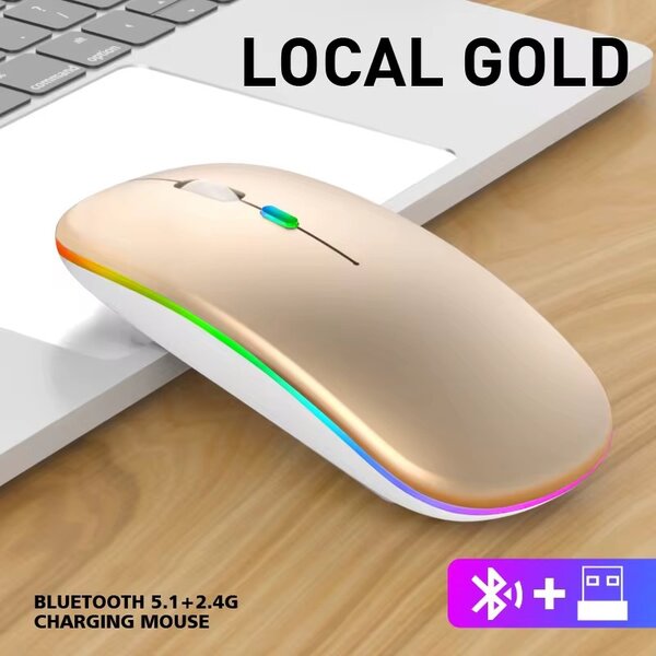 Souris Bluetooth sans fil rechargeable haute performance