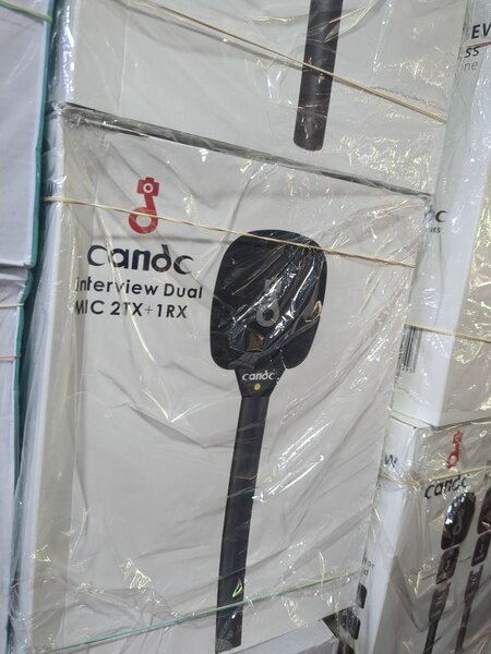 Microphone sans fil double Candc