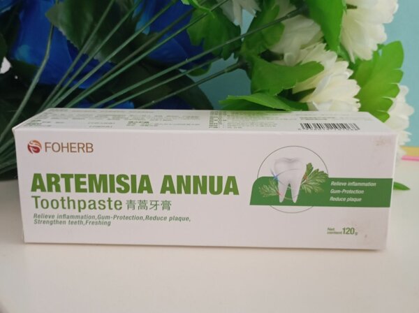 Dentifrice Artemisia Annua FOHERB