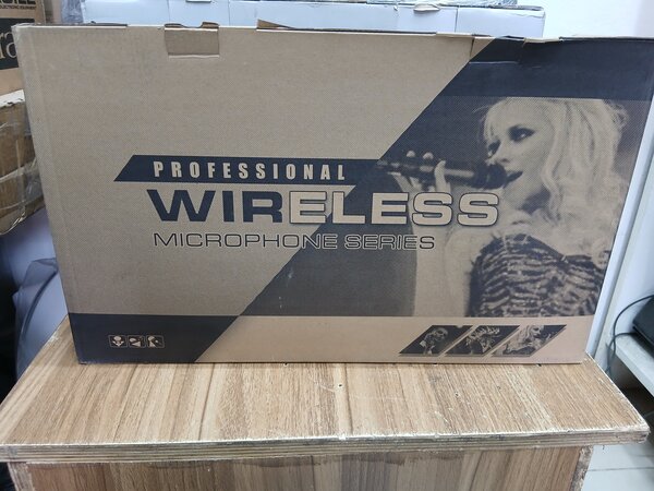 Professional Wireless Microphone Set