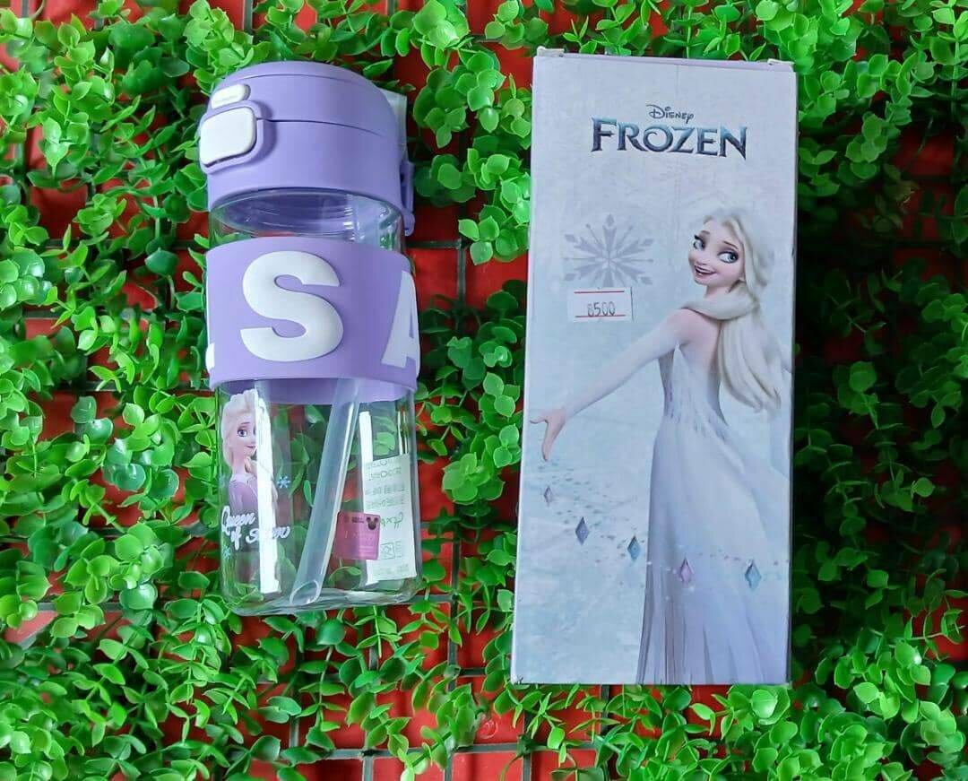 Gourde Reine des Neiges Elsa