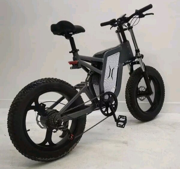 Vélo électrique tout terrain