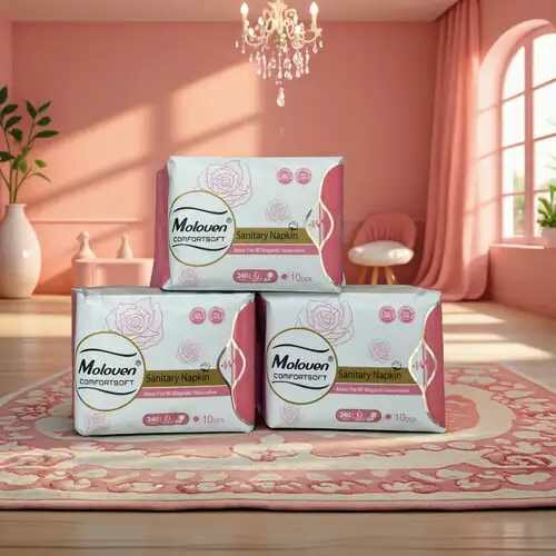 Serviettes hygiénique(lot de 2