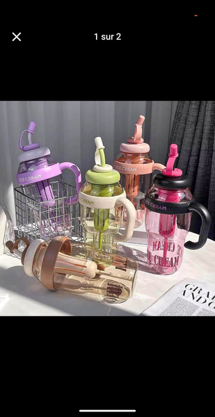 Bouteille Infuseur de Fruits