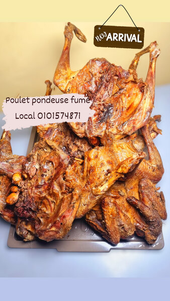 Lot de 4 poulets pondeuse fumé