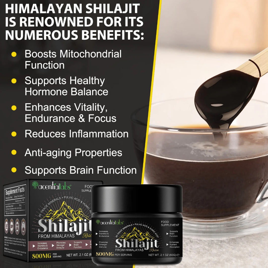 Résine de Shilajit Himalaya