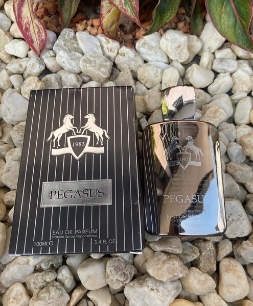 Parfum pour Homme Pegasus