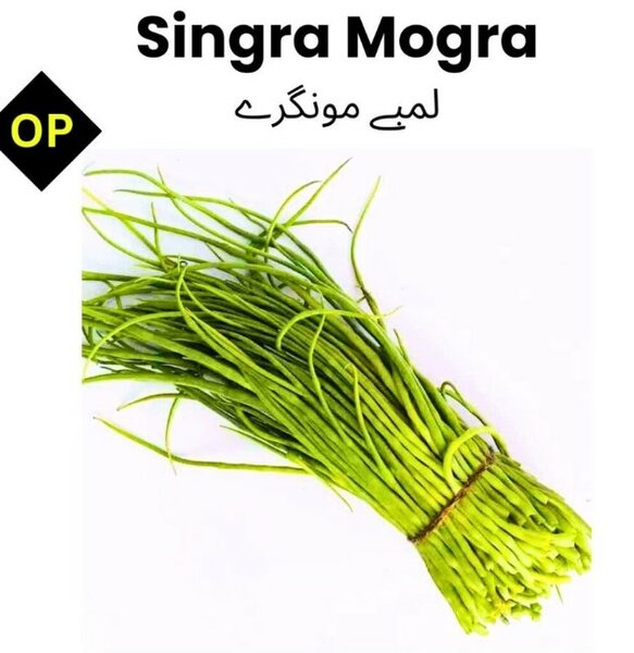 Singra Mogra (Radish Pods) 