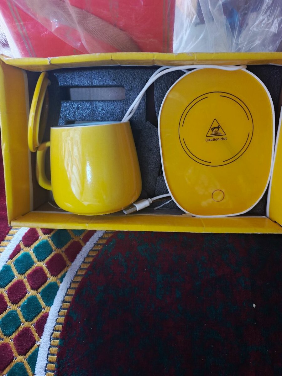 Tasse chauffante électrique avec plaque