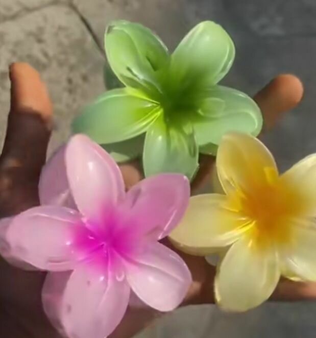 Pinces à cheveux fleurs tropicales