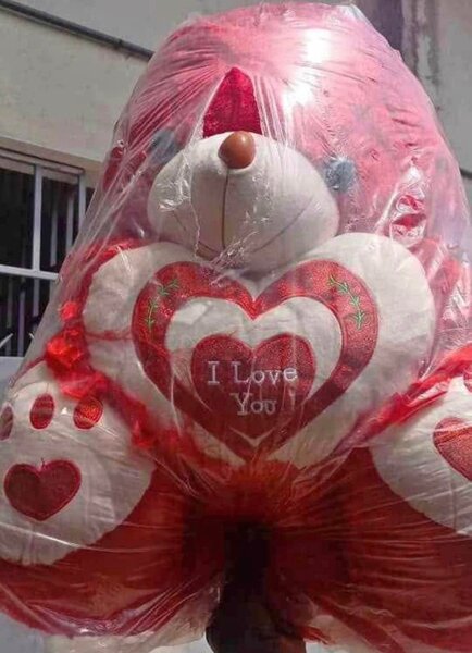 Ours en peluche géant