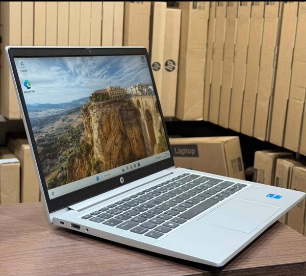 Ordinateur portable HP argent