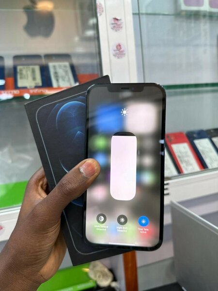 iPhone 12 Pro Max 128go quasi neuf