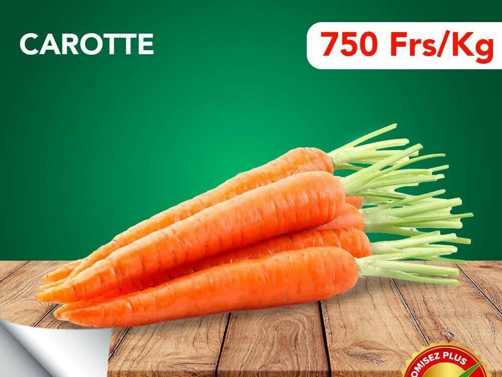 Oignons Rouges Frais