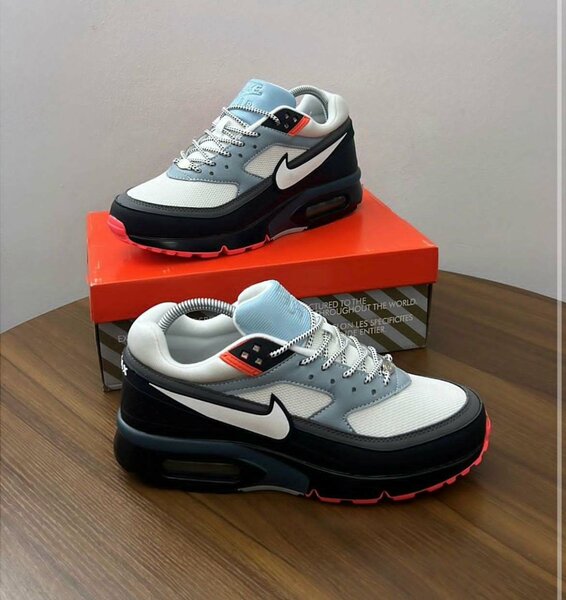 Chaussures de sport Air Max