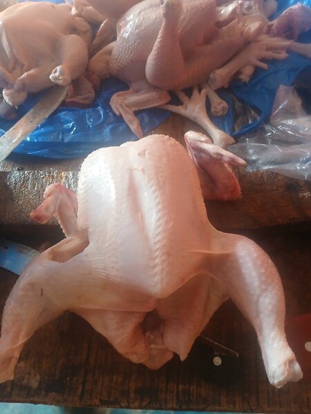 Poulet entier allal bien frais