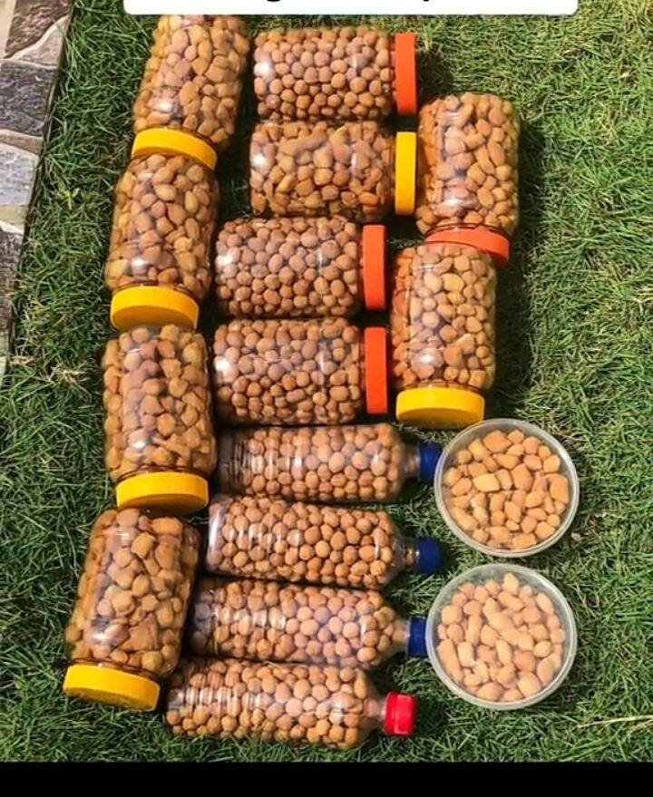 Croquettes pour chiens en pot