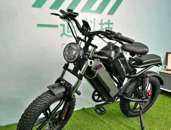 Vélo Électrique Pliable Tout-Terrain