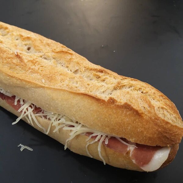 Gourmet Panini Sandwich