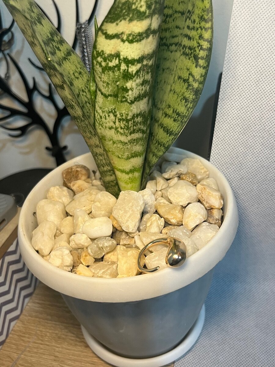 Bagues en inox pour femme