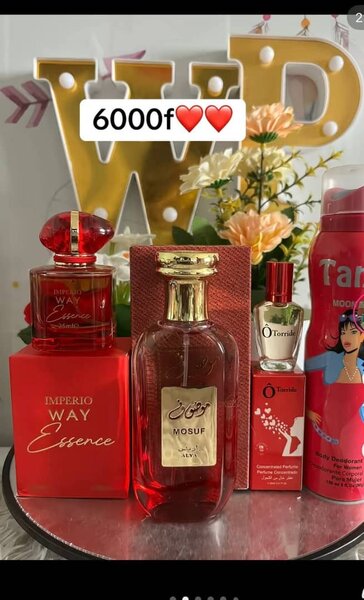 Lot de parfums variés luxe